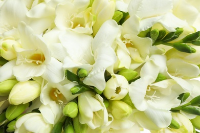 Photo of Beautiful aromatic freesia bouquet as background, closeup