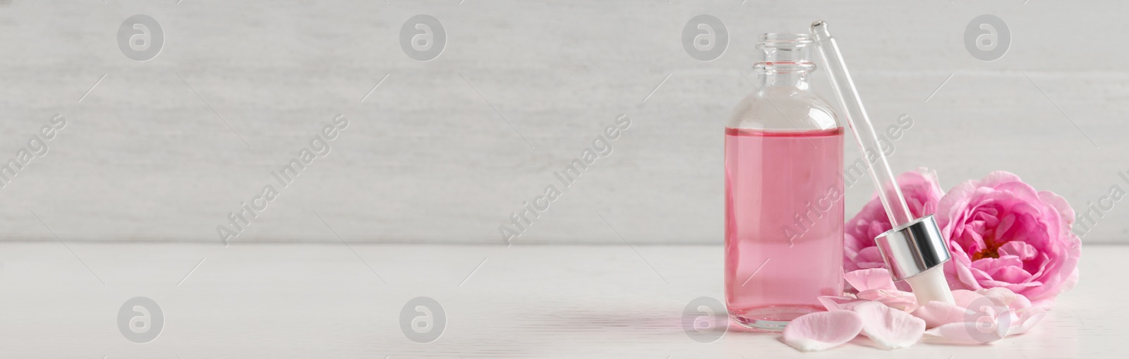 Image of Fresh flowers, bottle of rose essential oil and pipette on table, space for text. Banner design 