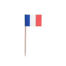 Photo of Small paper flag of France isolated on white