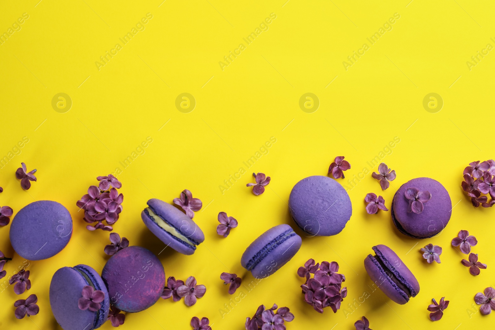 Photo of Flat lay composition with purple macarons and lilac flowers on yellow background. Space for text