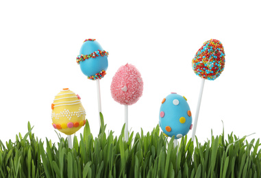 Photo of Different delicious cake pops for Easter celebration and grass on white background