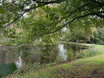 Photo of Beautiful pond and different trees in park