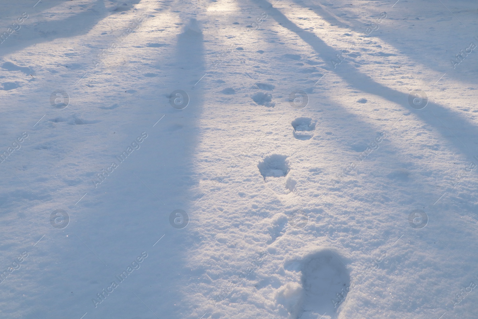 Photo of Footprints in white snow outdoors. Winter season