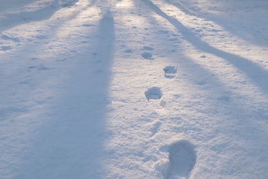 Photo of Footprints in white snow outdoors. Winter season