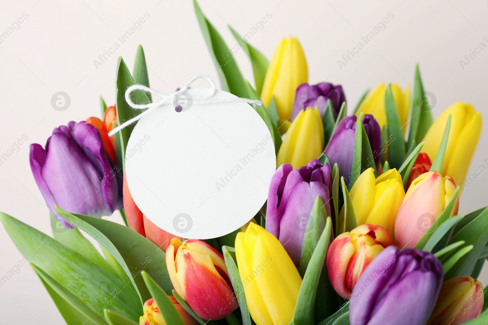 Photo of Bouquet of colorful tulips with blank card on white background, closeup