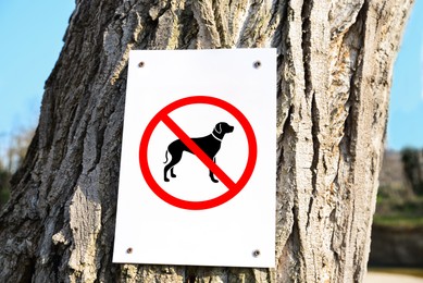 Image of Sign NO DOGS ALLOWED on tree trunk outdoors