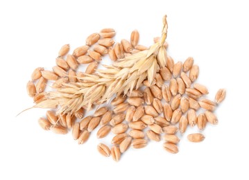 Photo of Pile of wheat grains and spike on white background, top view
