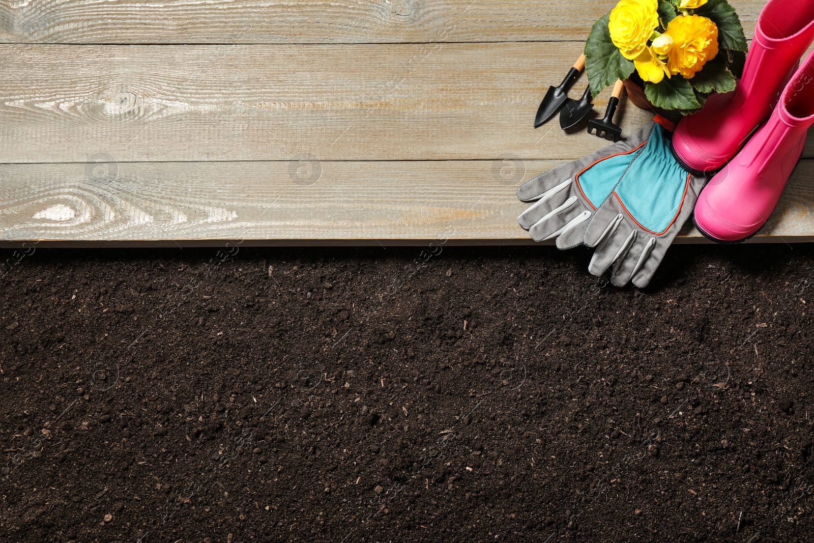 Photo of Gardening tools and flower on wooden board near soil, flat lay. Space for text