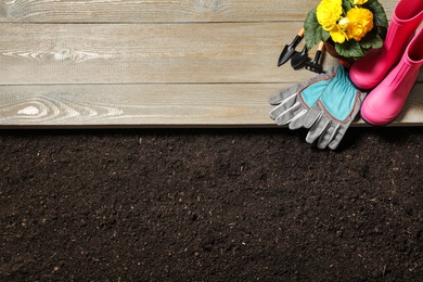 Photo of Gardening tools and flower on wooden board near soil, flat lay. Space for text