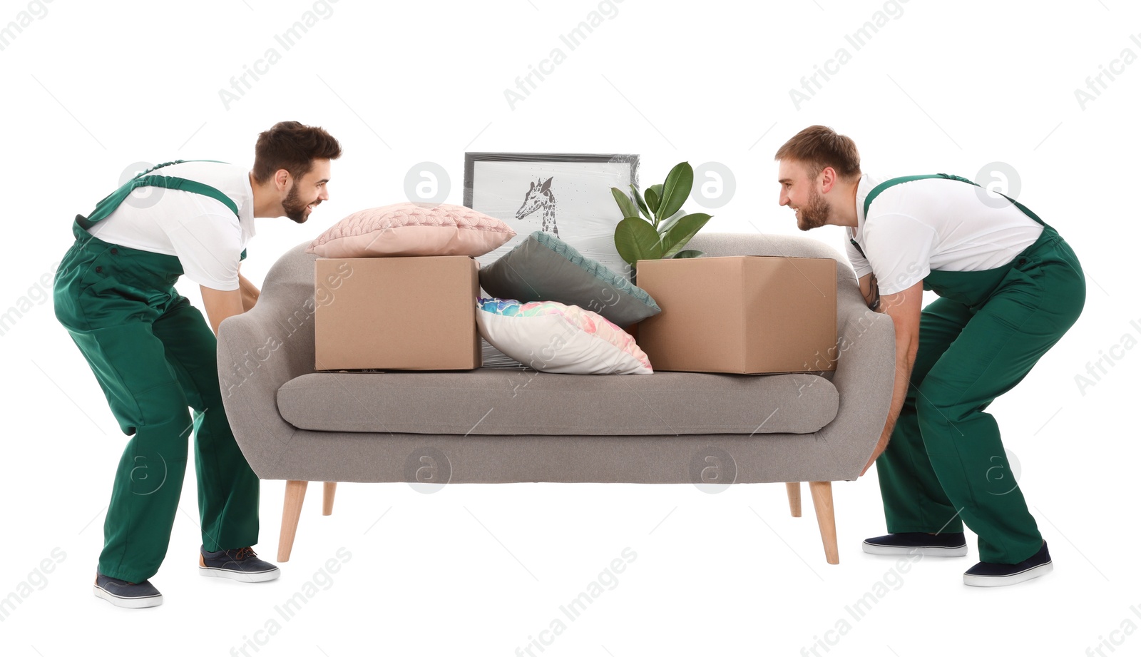 Photo of Young workers lifting sofa with stuff isolated on white. Moving service