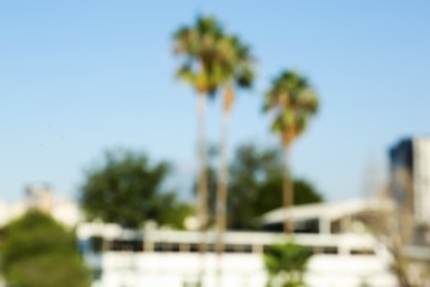 Blurred view of building and palm trees in city