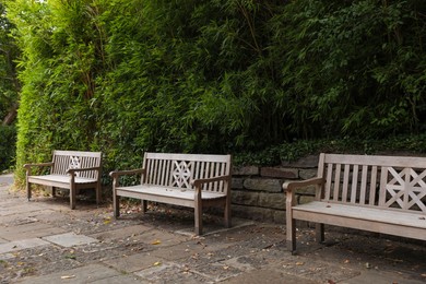 Photo of Stylish wooden benches and green plants in beautiful garden