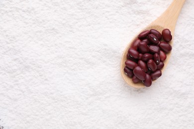 Photo of Spoon with brown seeds on kidney bean flour, top view. Space for text