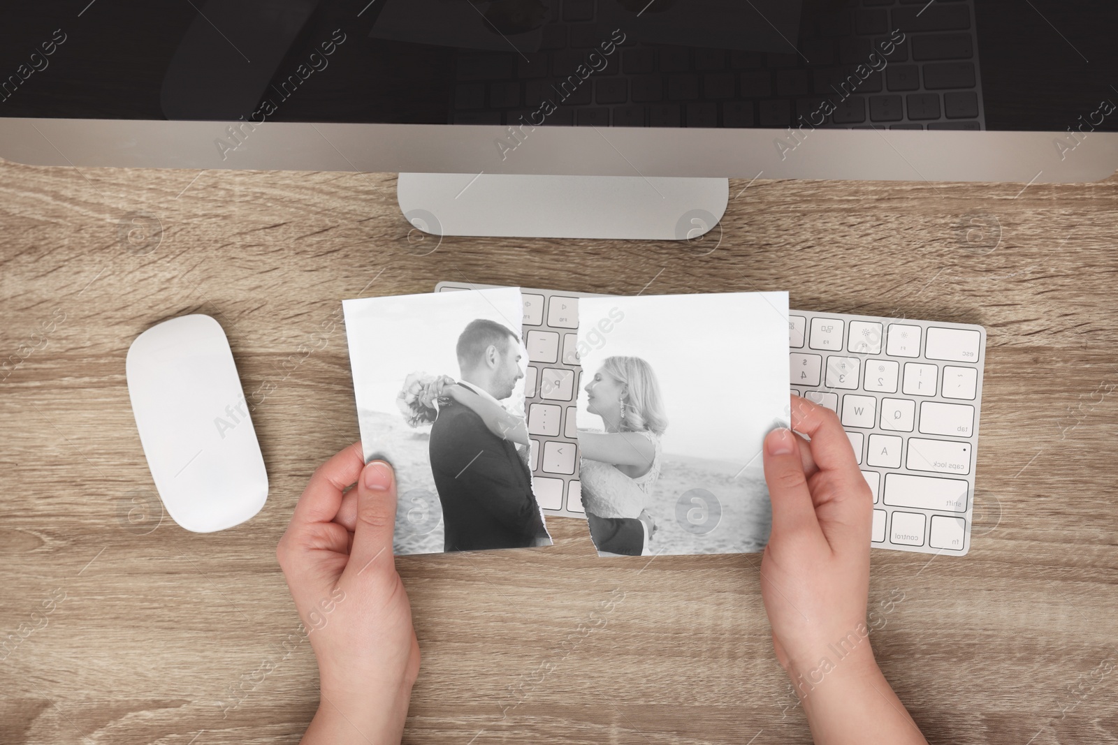 Image of Divorce and breakup. Woman holding parts of ripped black and white photo at table, top view