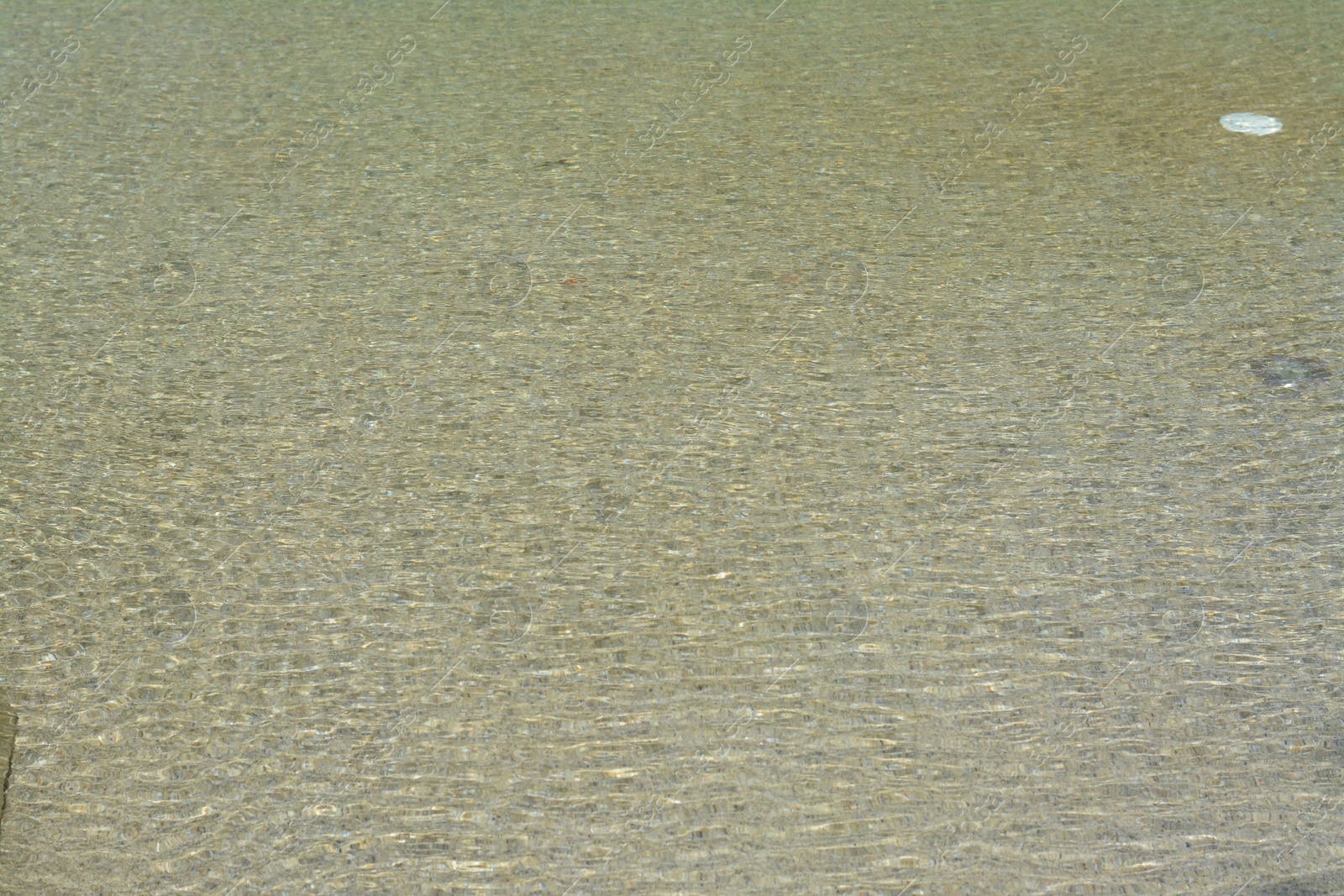 Photo of Calm clear water in swimming pool outdoors