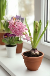 Beautiful hyacinth in flowerpot on window sill indoors