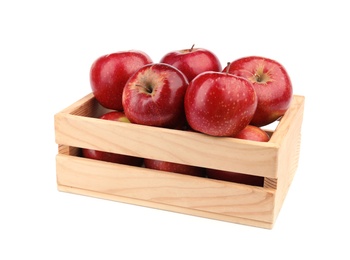 Wooden crate of ripe juicy red apples on white background