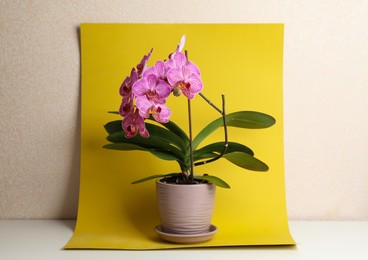 Photo of Beautiful pink orchid flower on yellow background