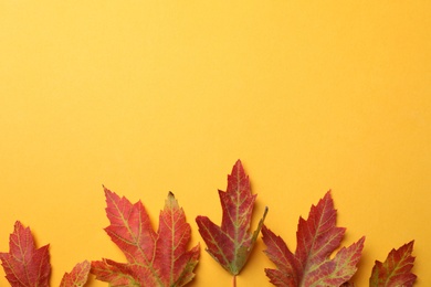 Photo of Colorful autumn leaves on yellow background, flat lay. Space for text