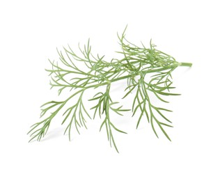 Photo of One sprig of fresh dill isolated on white