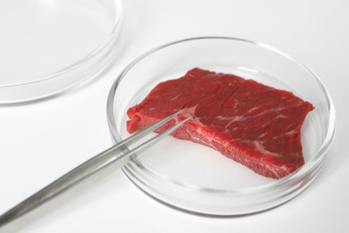 Photo of Petri dish with piece of raw cultured meat and tweezers on white table, closeup