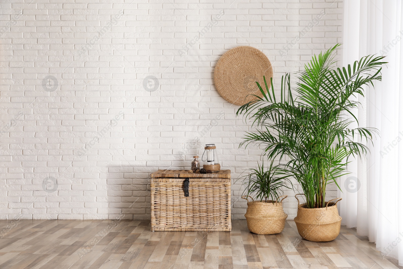 Photo of Beautiful green potted plants in stylish room interior. Space for text