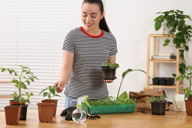 Photo of Planting seedlings. Happy woman near wooden table with different plants in room