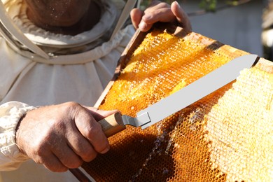 Photo of Senior beekeeper uncapping honeycomb frame with knife outdoors, closeup