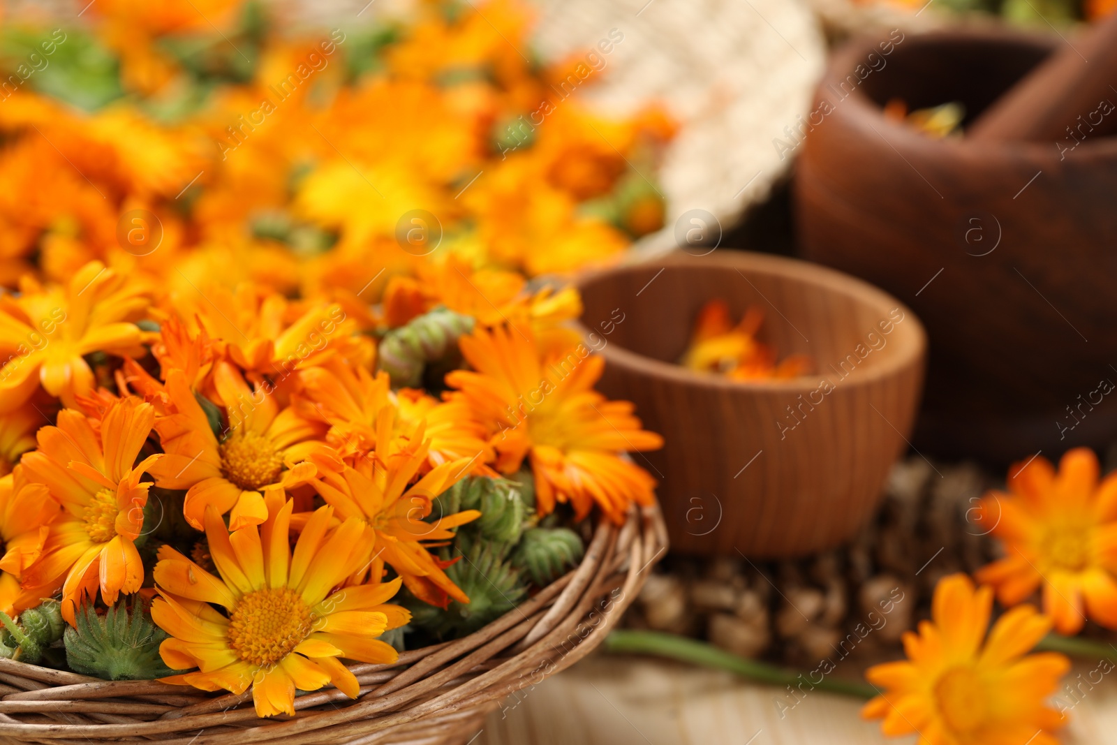 Photo of Many beautiful fresh calendula flowers on table, closeup