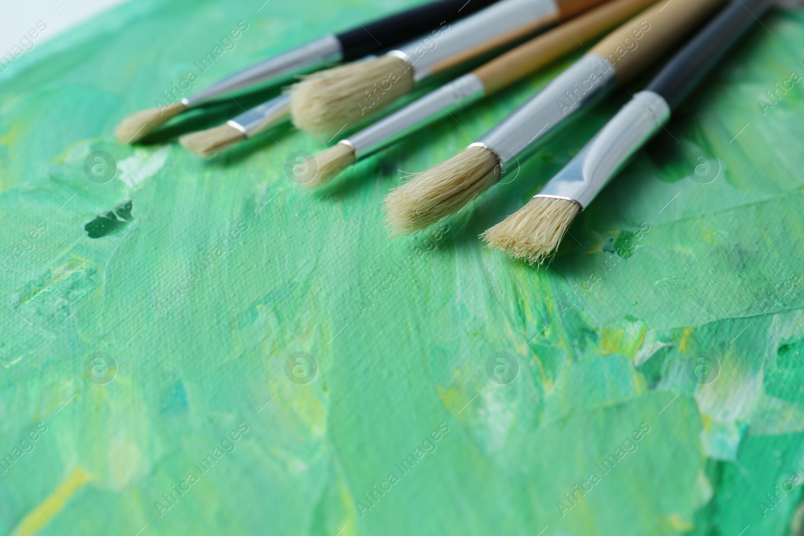 Photo of Set of different brushes on abstract colorful paint, closeup