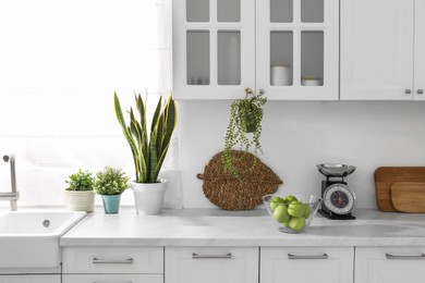 Stylish scale, apples and houseplants on white countertop in kitchen. Interior design