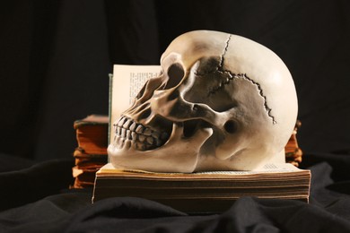 Photo of Human skull and old books on black background