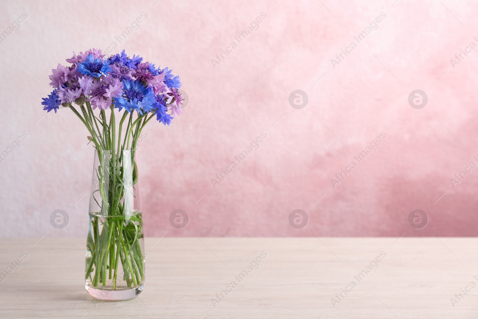 Photo of Bouquet of beautiful cornflowers in glass vase on white wooden table. Space for text