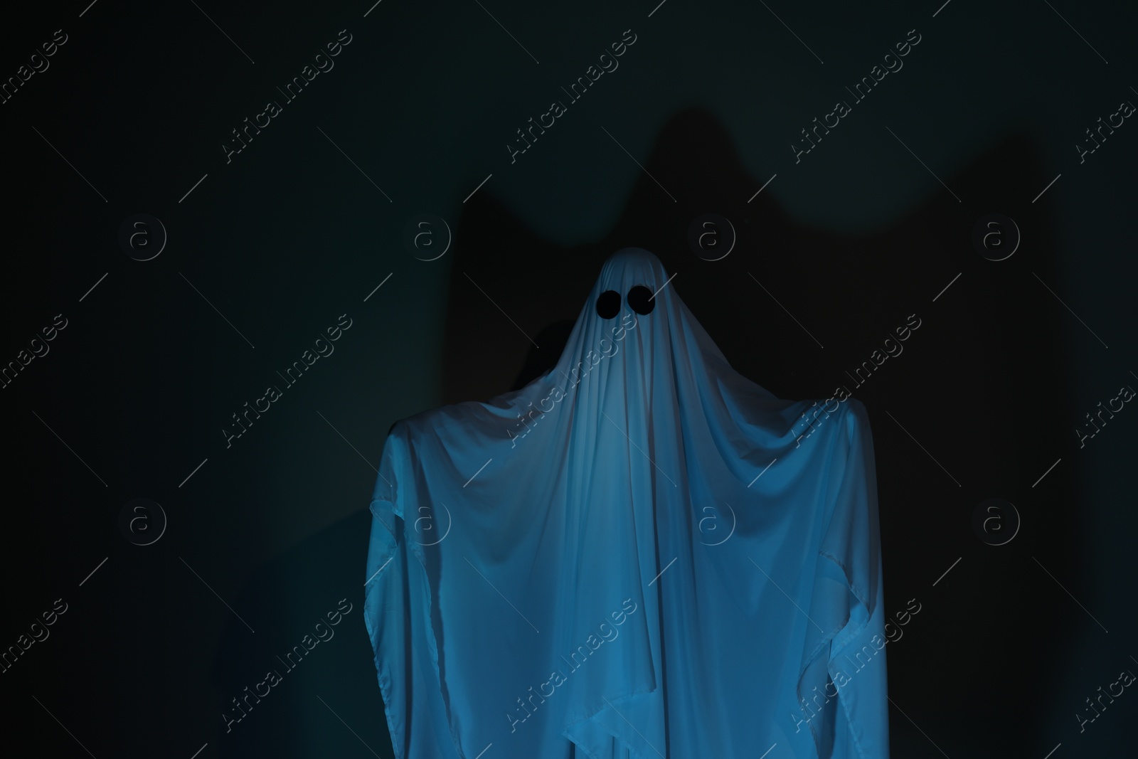 Photo of Creepy ghost. Woman covered with sheet on dark background