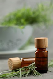 Photo of Bottles of essential oil and fresh tarragon leaves on grey table
