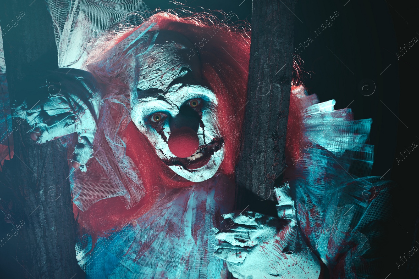 Photo of Terrifying clown hiding behind trees outdoors at night. Halloween party costume