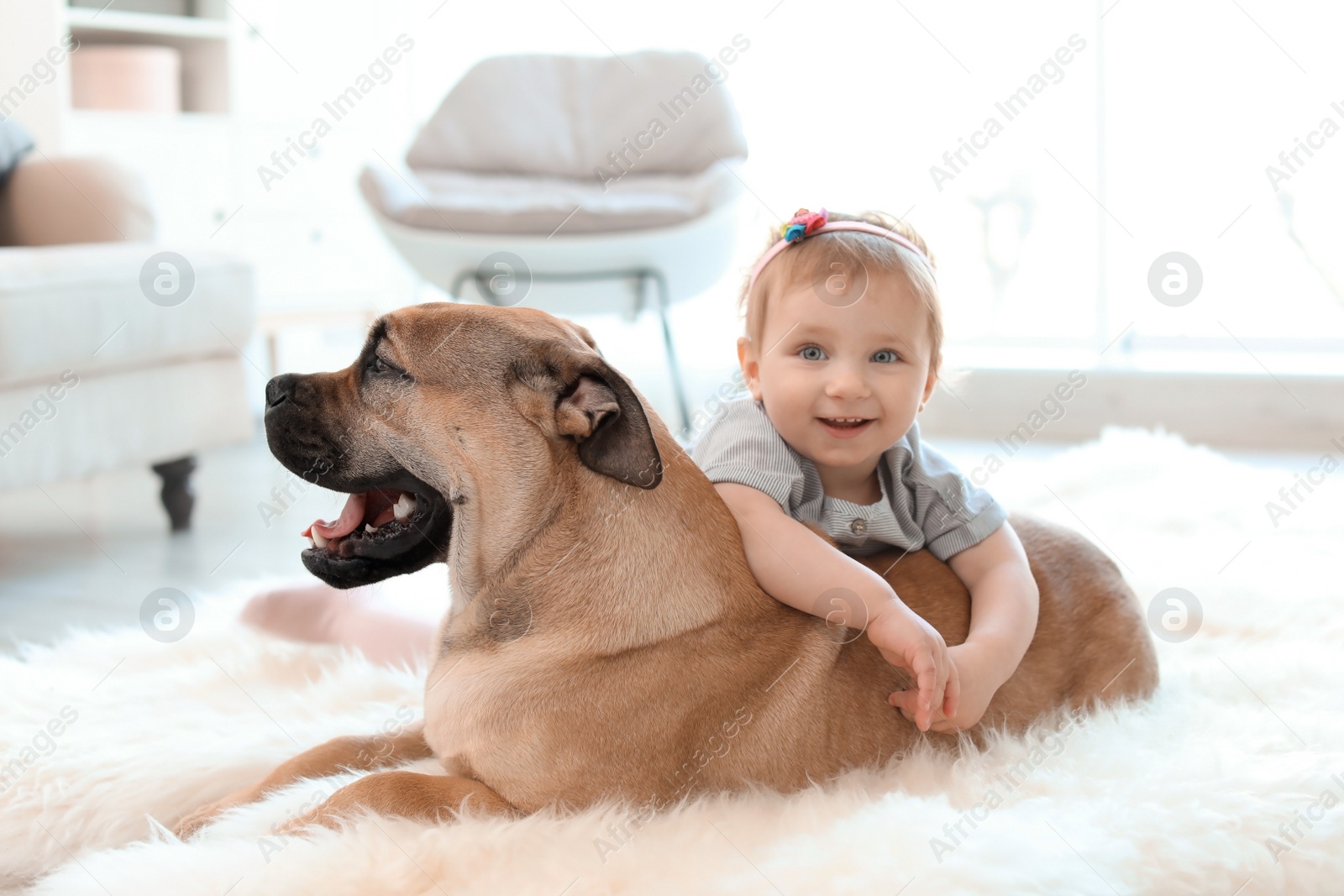 Photo of Cute little child with dog at home