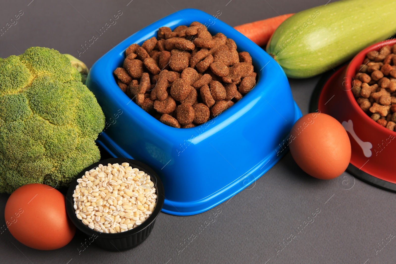 Photo of Dry pet food and products on black background, closeup