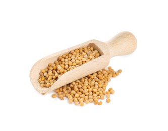 Photo of Wooden scoop with aromatic mustard seeds on white background