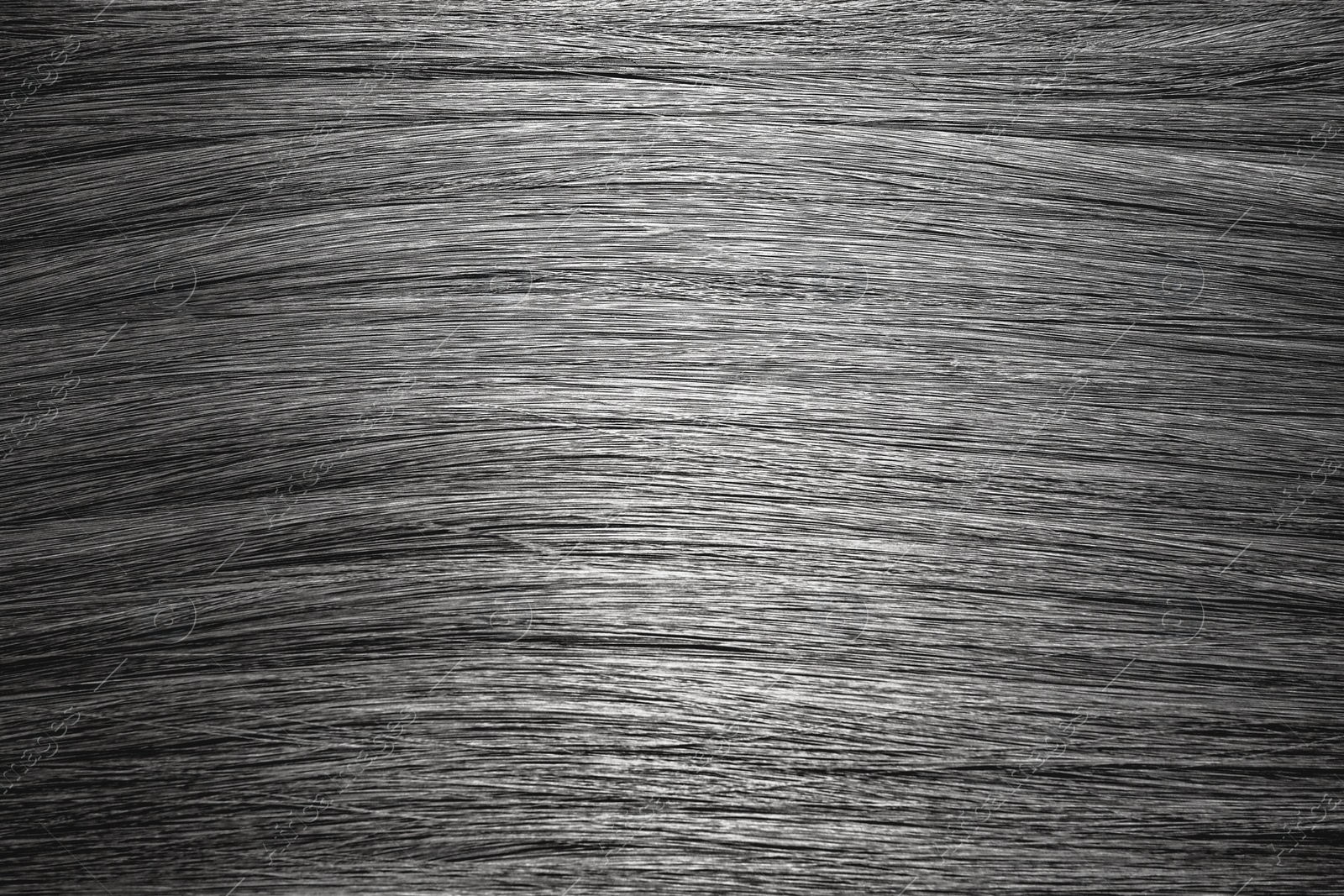 Image of Beautiful grey hair as background, top view