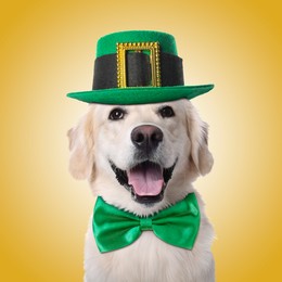 Image of St. Patrick's day celebration. Cute Golden Retriever dog with leprechaun hat and green bow tie on yellow background