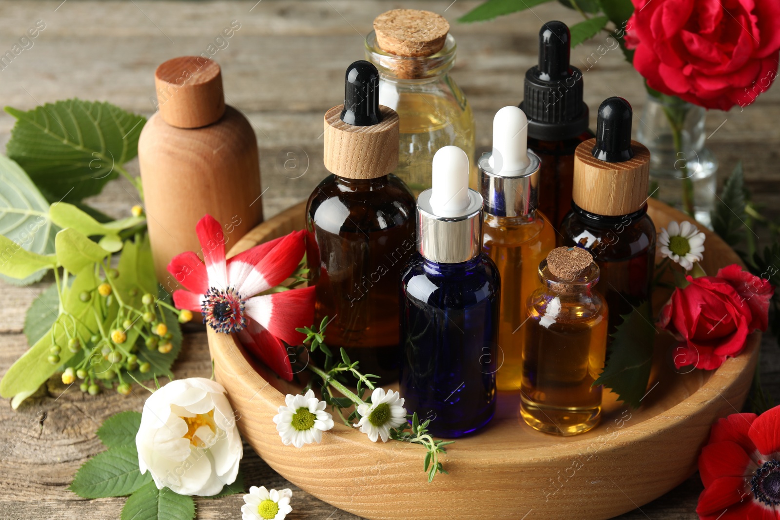 Photo of Aromatherapy. Different essential oils, flowers and green leaves on wooden table