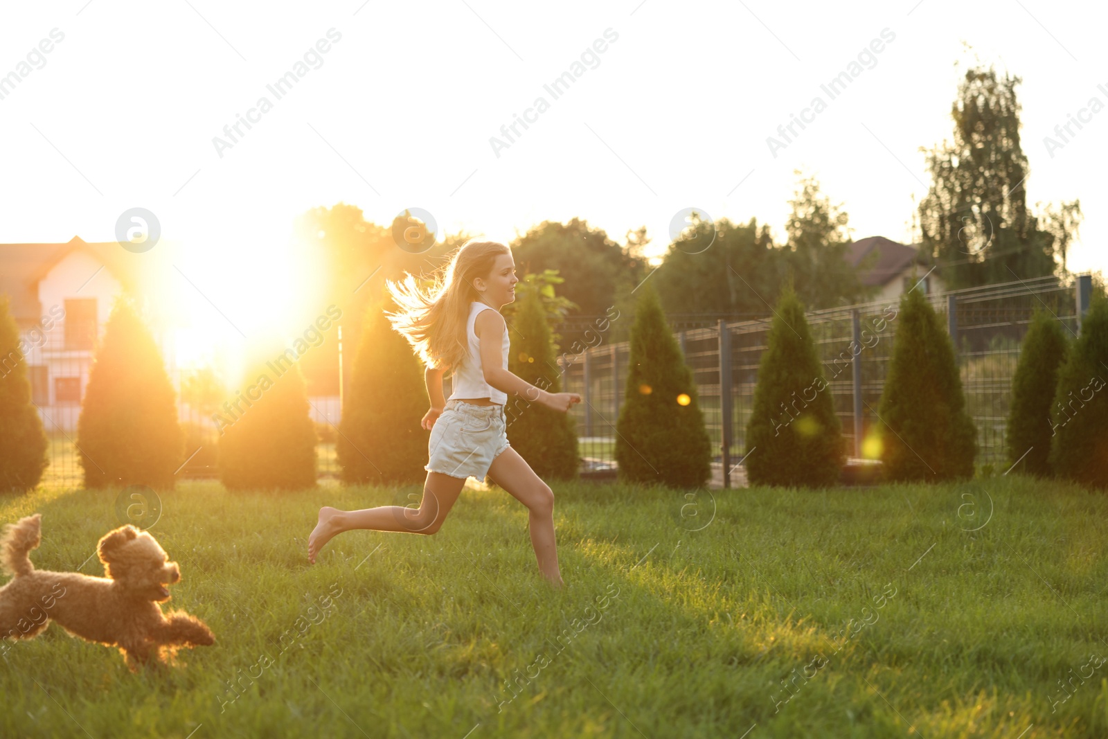 Photo of Beautiful girl running with cute Maltipoo dog on green lawn at sunset in backyard