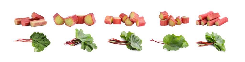 Image of Set with fresh rhubarb stalks isolated on white