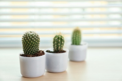 Photo of Window with blinds and potted plants on sill, space for text