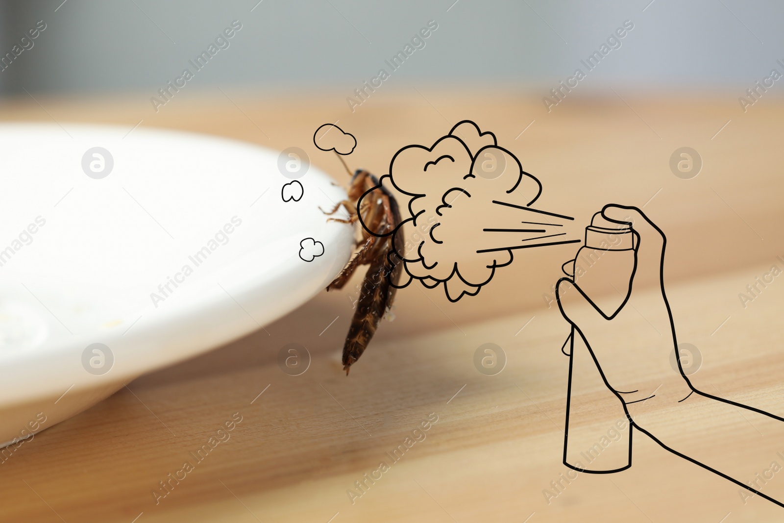 Image of Pest control. Using household insecticide to kill cockroach at home, closeup. Illustration