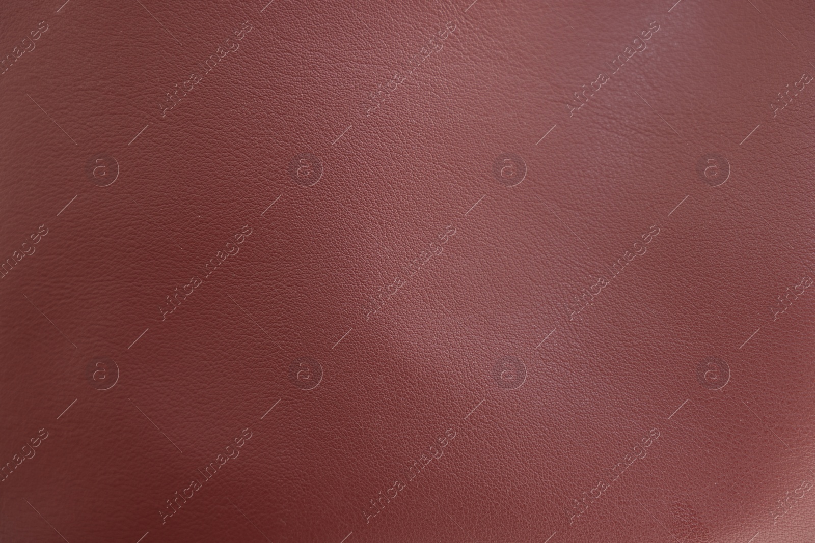 Photo of Texture of leather as background, closeup view