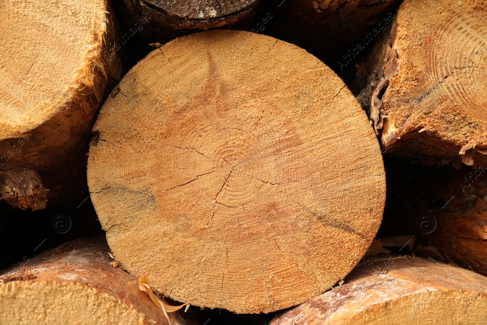 Photo of Stacked firewood as background, closeup. Heating in winter