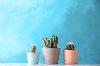 Photo of Beautiful cactuses in pots on table against color background