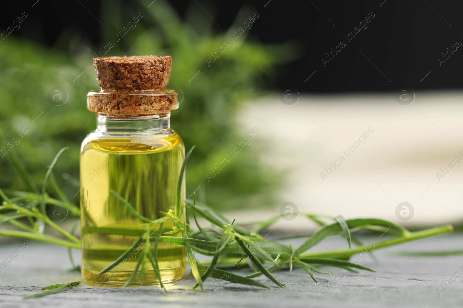 Photo of Bottle of essential oil and fresh tarragon leaves on grey wooden table. Space for text